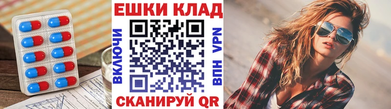 купить наркотики сайты  Будённовск  ЭКСТАЗИ диски 