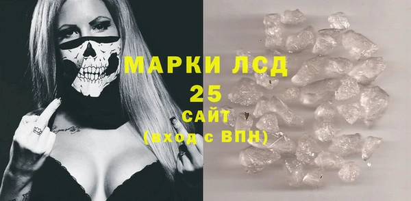 молекула духа Заполярный