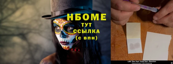 молекула духа Заполярный