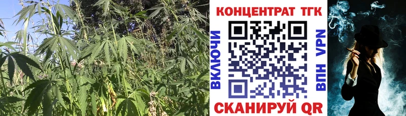 Дистиллят ТГК концентрат  закладки  kraken маркетплейс  Будённовск 