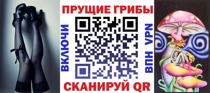 Галлюциногенные грибы Psilocybe  наркошоп  Будённовск 