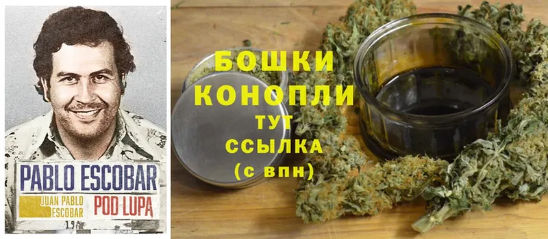 Бошки Шишки Ganja  закладка  Будённовск 